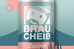 CASIMIR